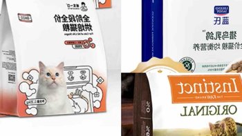 猫咪换粮大作战！铲屎官必看指南