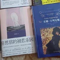 《安娜·卡列尼娜》：列夫·托尔斯泰的文学瑰宝，精装珍藏版全译本震撼问世