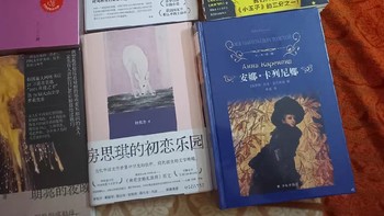 《安娜·卡列尼娜》：列夫·托尔斯泰的文学瑰宝，精装珍藏版全译本震撼问世