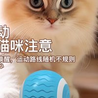 喵星人新宠！自动逗猫球，让主子乐翻天