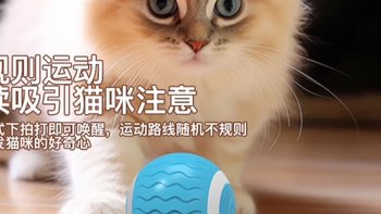 喵星人新宠！自动逗猫球，让主子乐翻天