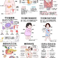 调控生命的平衡师：内分泌系统与垂体、甲状腺、胰脏、胰岛素及糖尿病的关联探秘