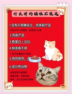 猫咪美食家：如何挑选最佳猫粮？