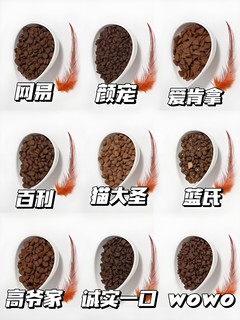 猫咪美食家：如何挑选最佳猫粮？