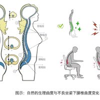 办公室必备，腰靠让你告别背痛！