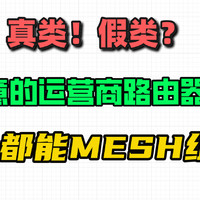 任意两个运营商的路由器都可以组MESH？