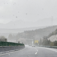 你的城市下雪了吗？