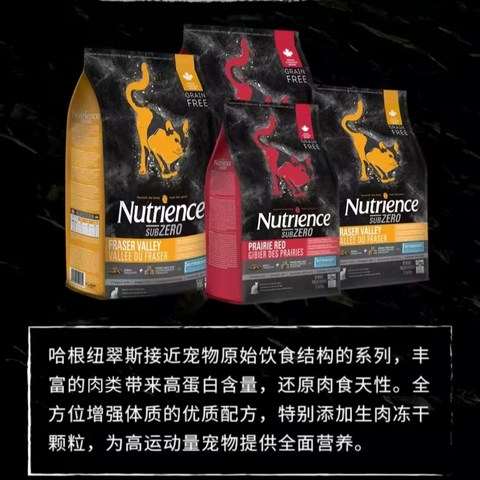 宠爱之选：Nutrience纽翠斯猫粮，品质生活从此开始！