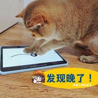 恭喜get只沉迷电子设备的猫咪！猫咪玩具分享