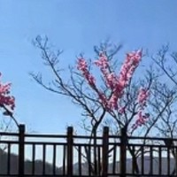 本溪关山湖风景区游玩全攻略：探索自然奇观与欢乐体验