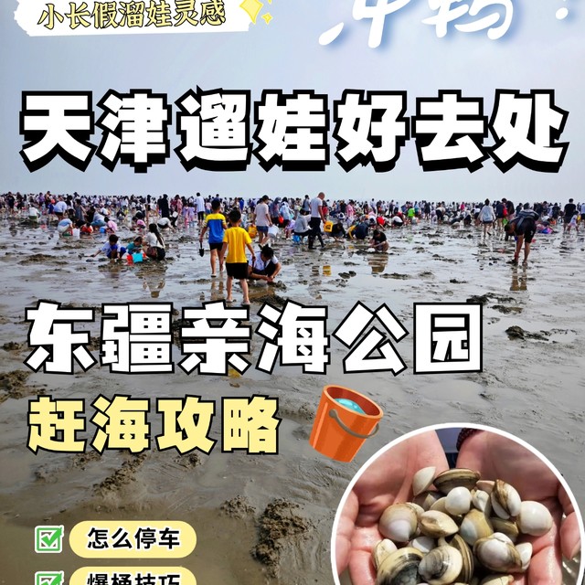 🐚都是知识点！天津东疆亲海公园赶海攻略