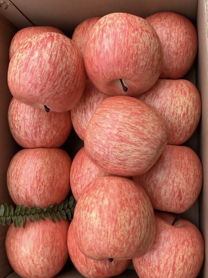 烟台红富士苹果:果中佳品,健康美味