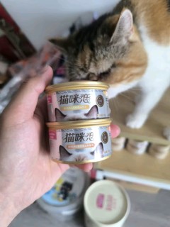 麦富迪猫罐头：为小猫准备的美味猫罐头