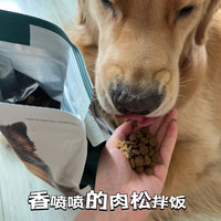 狗狗好物推荐呀