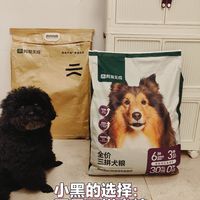 挑食狗狗的狗粮选购指南：网易天成三拼犬粮，你们会选吗？