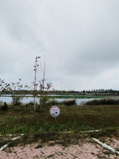 国庆节参加婚礼途中，遇到小朋友喜欢玩的小滑梯