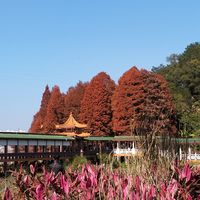 风景秀美，梅州泮坑风景区！