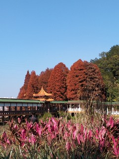 风景秀美，梅州泮坑风景区！