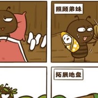 一本很萌又科普的书《花小烙漫画科普》