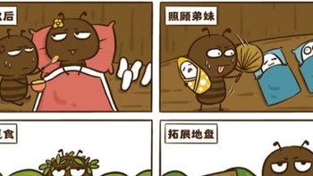 一本很萌又科普的书《花小烙漫画科普》