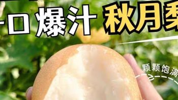 一咬就爆汁的『秋月梨』！鲜甜多汁、梨肉清香，满嘴爽脆！