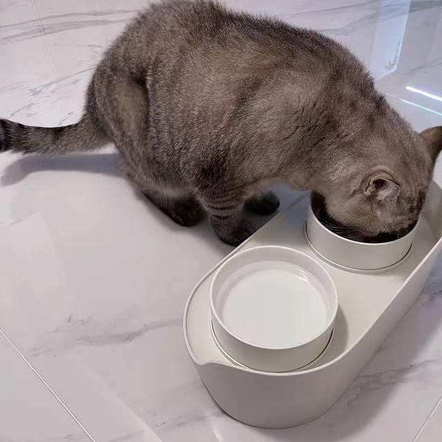 双碗猫食盆：宽敞的用餐空间，舒适的生活体验