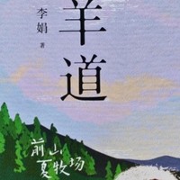 心灵之旅：《羊道》系列中的诗意与远方！