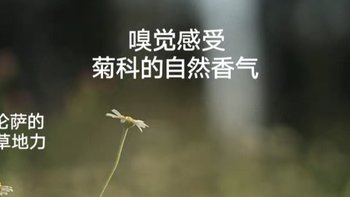 雏菊的天空翡冷翠精华油，干敏肌换季护肤神器！