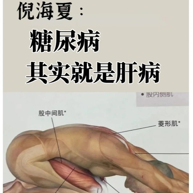 糖尿病其实是肝病