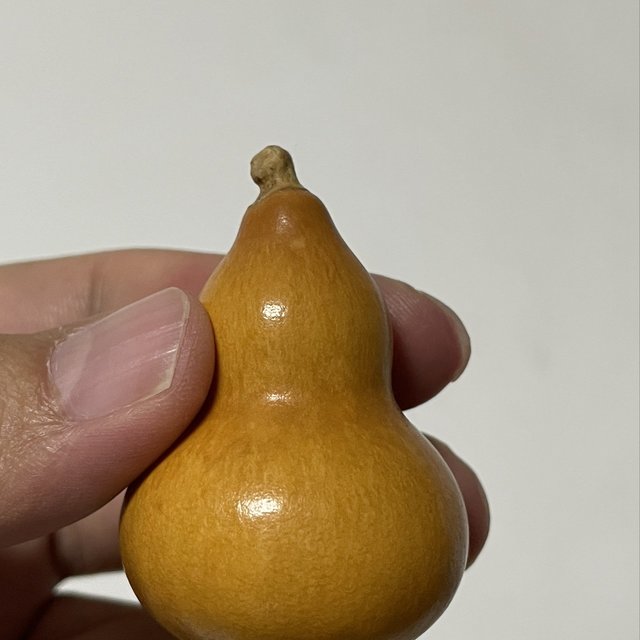 为什么我的葫芦不变色？？