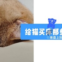 给猫买窝那些事！分享些近年买宠物床之路