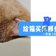 给猫买窝那些事！分享些近年买宠物床之路