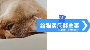 给猫买窝那些事！分享些近年买宠物床之路