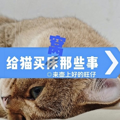 给猫买窝那些事！分享些近年买宠物床之路