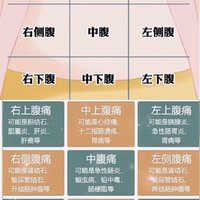 医学生笔记——不同位置“肚子痛”