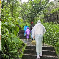 一拖二娃大理亲子游攻略，雨天大理游轻松版