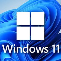 Win11 24H2 更新多出 8.63GB 缓存无法清理，微软官方回应会着手解决