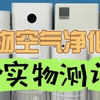 宠物空气净化器哪个牌子好？五大精选单品独家分享！