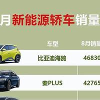 2024年8月新能源SUV+轿车销量排行榜