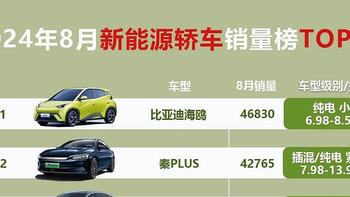 2024年8月新能源SUV+轿车销量排行榜