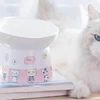 喵仙儿 陶瓷猫碗：给猫咪的美好用餐体验