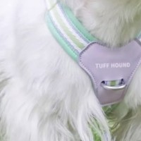 TuffHound狗狗胸背带：舒适稳固，可爱外观