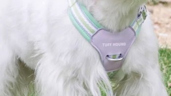 TuffHound狗狗胸背带：舒适稳固，可爱外观