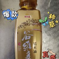 金龙鱼谷维多稻米油食用体验