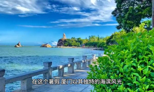 厦门亲子游攻略：夏日海滨亲子探险之旅
