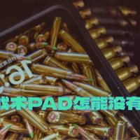 战术Pad，没有肥熊保护壳怎么行？