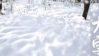 “冷不冷，就看大雪”！明年春节冷不冷？看看大雪的农谚 