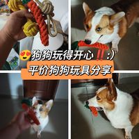 😍狗狗玩得开心‼️耐咬平价狗狗玩具