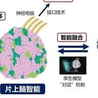 华为新专利脑机接口芯片曝光