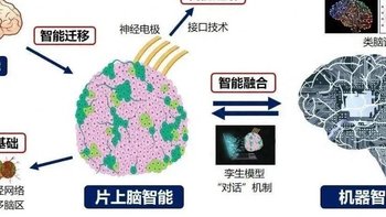 华为新专利脑机接口芯片曝光